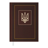 Щоденник датований А5 2024 NATION BUROMAX коричневий BM.2199-25