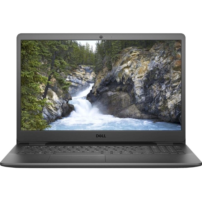 Ноутбук Dell Vostro 3501 (DVOS3501I316256WE)