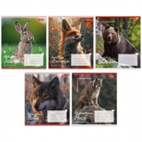 Зошит учнівський 18 аркушів клітинка 1B Animals of Ukraine 767231