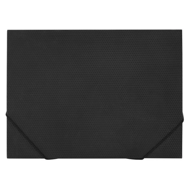 ПАПКА на гумках А3 Economix E31629-01 чорна ПАПКА на гумках А3 Economix E31629-01 чорна