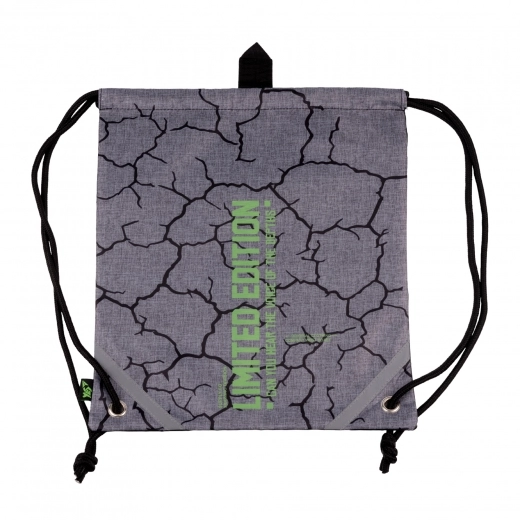 Сумка для взуття YES SB-10 Lightning Сумка для взуття YES SB-10 Lightning