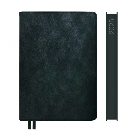 Щоденник датований А5 2025 Leo Planner Case темний смарагд 252520