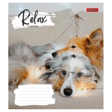 Зошит 18 аркушів лінія 1 Вересня Relax choose 766595