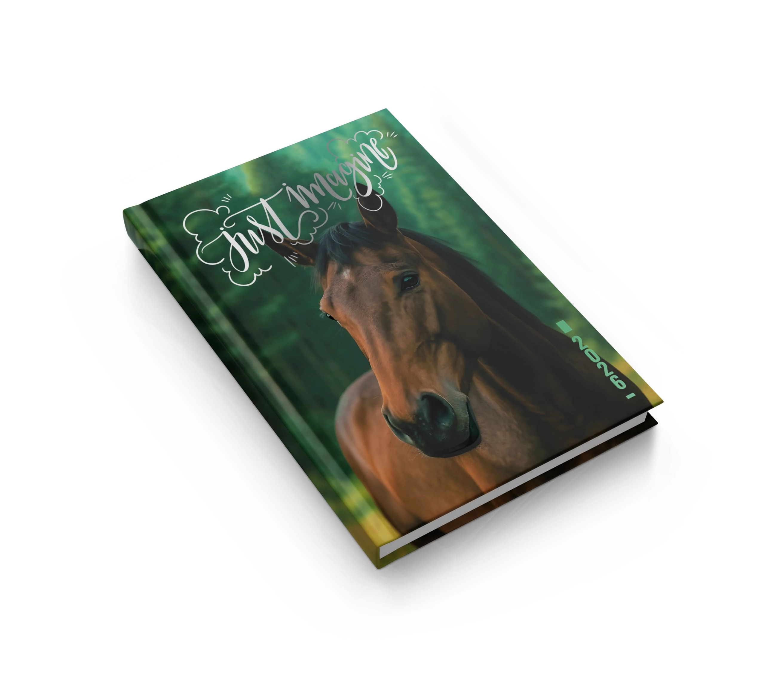 Щоденник датованний А5 2026 Аркуш 336 сторінок асорті Щоденник датованний А5 2026 Аркуш 336 сторінок асорті