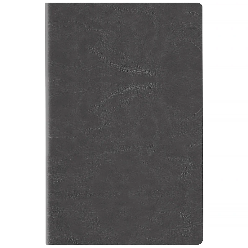 Щоденник Axent Partner City Soft 2026 сірий — фото 2