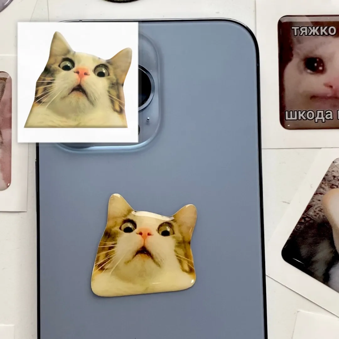 Наліпка 3D-стікер Мем здивований котик 
SX-27