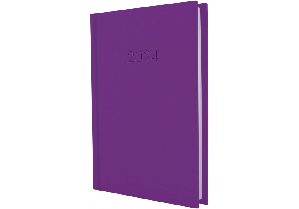 Щоденник датований ECONOMIX А5 2024 SATIN бузковий E21612-12 Щоденник датований ECONOMIX А5 2024 SATIN бузковий E21612-12