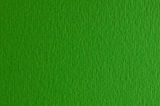 Папір для дизайну Elle Erre B1 (70*100см), №11 verde, 220г/м2, зелений, дві текстури, Fabriano